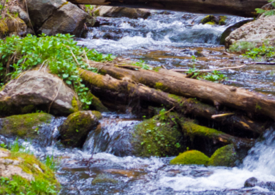 WOTUS Redefinition: New Mexico