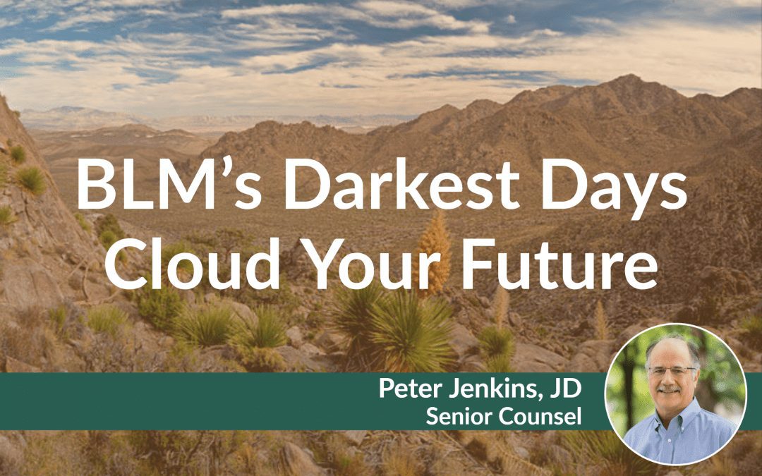 PEERMail: BLM’s Darkest Days Cloud Your Future