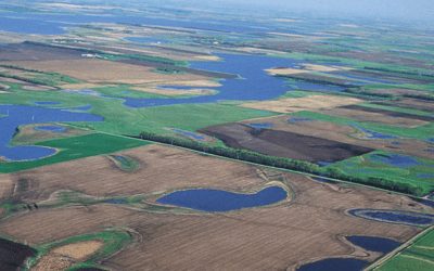 WOTUS Redefinition: South Dakota