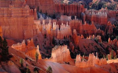 Wheels Coming Off Trump Arctic Refuge Drive
