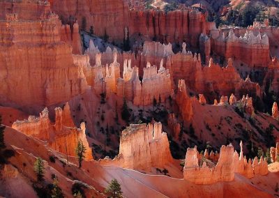 Wheels Coming Off Trump Arctic Refuge Drive