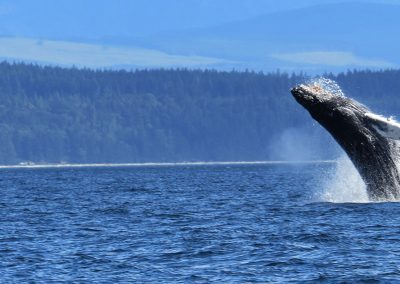 South Dakota Ground Zero for Trump Water Rollbacks