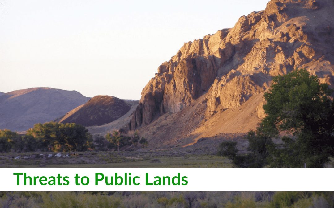 PEERMail: Threats to Public Lands