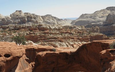 National Parks Epitomize Trump COVID Inconsistency