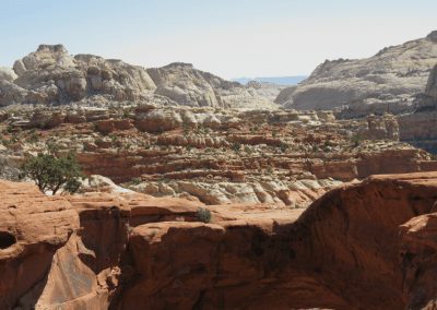 National Parks Epitomize Trump COVID Inconsistency