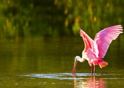 Settlement Reached in Sewage Treatment Suit