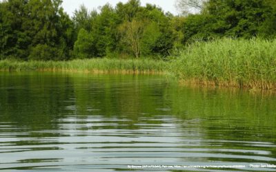 BLOG: EPA Science Advisors Slam EPA’s Proposed Water Rule