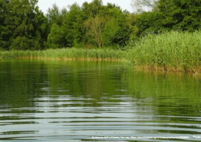 BLOG: EPA Science Advisors Slam EPA’s Proposed Water Rule