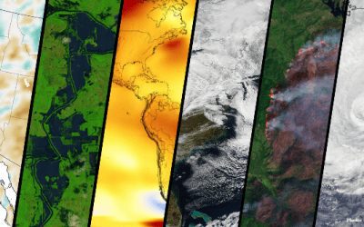 BLOG | BLM Needs a Future Far Brighter Than Its Past 