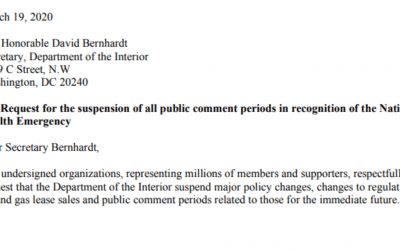 PEER Letter to Suspend Action During Coronavirus Crisis