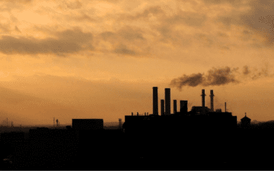 BLOG: COVID-19 Power Grab