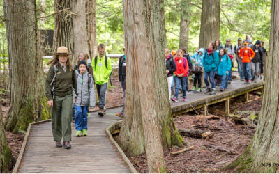 BLOG | National Parks Stumble Towards Reforms