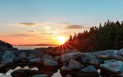 Can National Parks Practice Social Distancing?