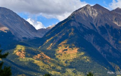 COMMENTARY | National Forests and COVID-19. What’s Happening?