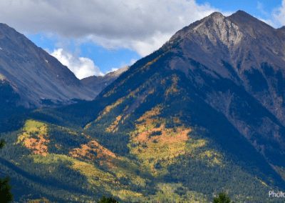 COMMENTARY | National Forests and COVID-19. What’s Happening?