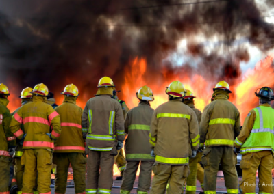 BLOG | The Decimation of the Public Sector Workforce