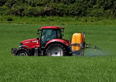 BLOG | Protect Honeybees and Pollinators by Ending the Use of Toxic PesticidesÂ