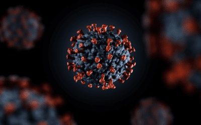 BLOG | Don’t Mention COVID-19 at NOAA