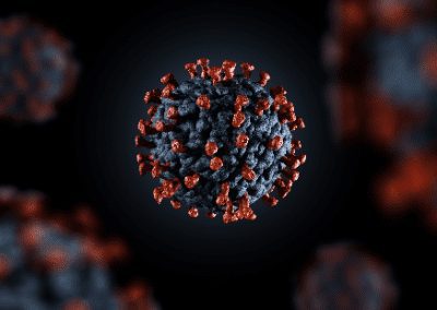 BLOG | Don’t Mention COVID-19 at NOAA