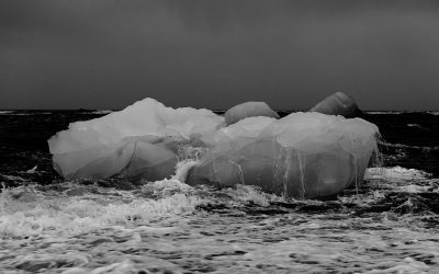 BLOG | Biden’s Approach to Climate Disruption: What Will It Mean for Federal Agencies?