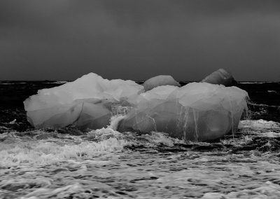 BLOG | Biden’s Approach to Climate Disruption: What Will It Mean for Federal Agencies?