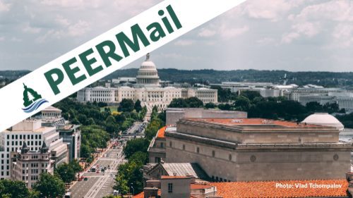 PEERMail | Rocky Road Ahead