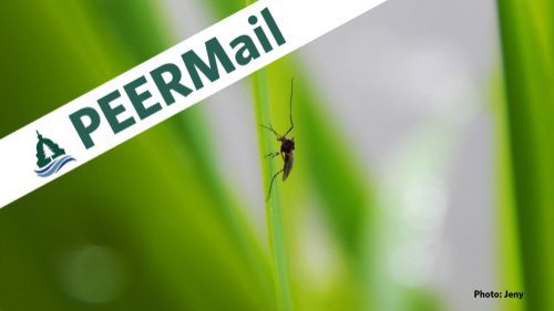 PEERMail: Aerial Spraying PFAS in Massachusetts