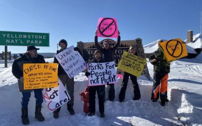 BLOG | COVID-19, Yellowstone, and the Company that puts the American Public at Risk