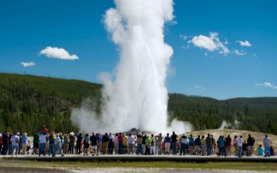 BLOG | Social Distancing to Curb COVID-19 and Park Overcrowding