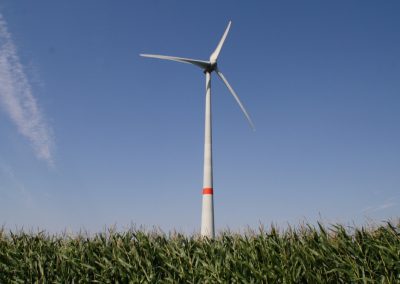 BLOG | Renewable Energy and Public Lands