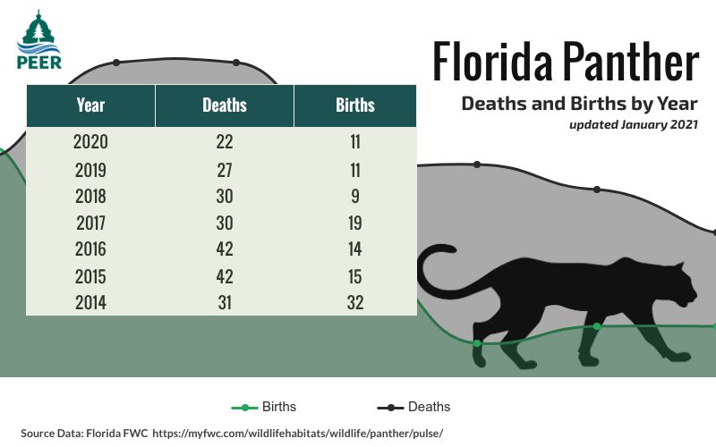 How Many Florida Panthers Are Left In 2024 Maria Scarlet