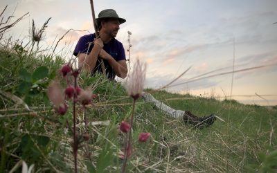 BLOG | Research Suppression at USDA and Stagnation of Agricultural Science