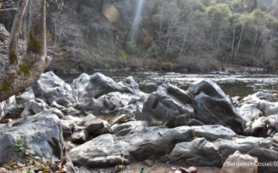 BLOG | Can the Bureau of Land Management Shift Gears on Climate Change?