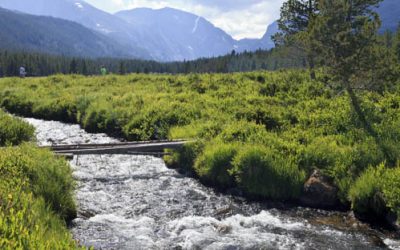 Let’s Resist the Temptation to “Improve” Wilderness