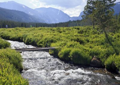 Let’s Resist the Temptation to “Improve” Wilderness