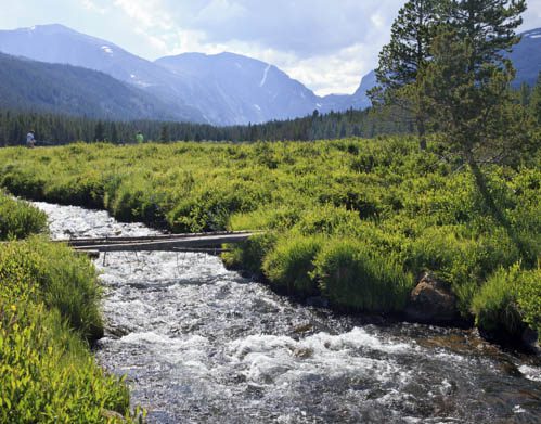 Let's Resist the Temptation to “Improve” Wilderness - PEER.org