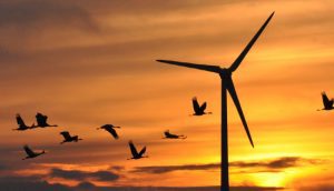 Wind turbine with setting sun, orange sky, and birds