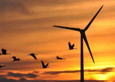 COMMENTARY | Green Energy: An Eco-Price for Fighting Climate Change