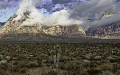 Federal Land Give-Away to Las Vegas Opposed  Â