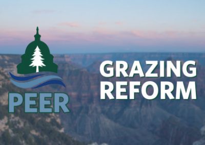 Interior Wild Horse Focus Ignores Cattle Impacts  