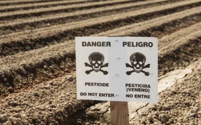COMMENTARY | EPA’s Pesticide Office – A Plague on Us All