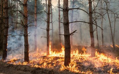 COMMENTARY | Code Red for Humanity on Climate Change