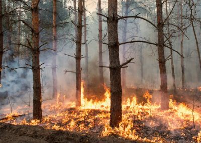 COMMENTARY | Code Red for Humanity on Climate Change