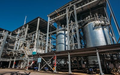 COMMENTARY | EPA Sets Low Bar on Chemical Safety – And Trips Over It