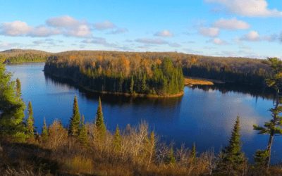 PEER Profile | Policy and Litigation in the Midwest