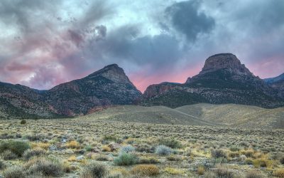 COMMENTARY | Conservation and Climate Action Require a Better Bureau of Land Management