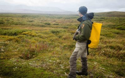 COMMENTARY | Being Bold on National Park Staffing