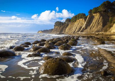 Biden Estimate of “Conserved” Waters Inflated