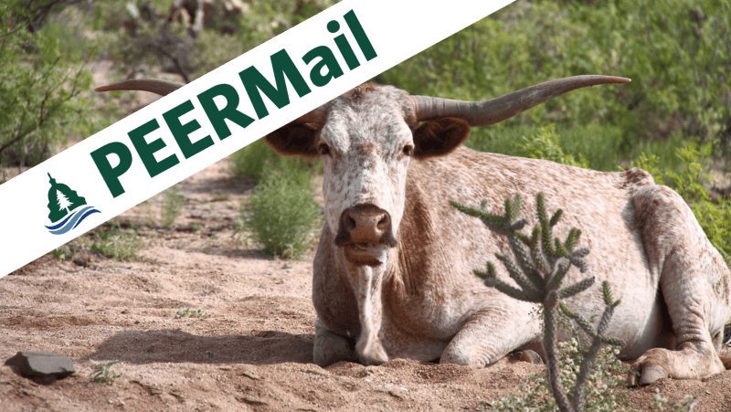 PEERMail | Rangeland Health Means Fixing the BLM Grazing Program