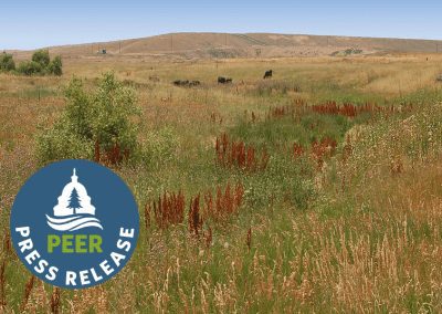 Denver Superfund Site May Be Leaching Toxic PFAS